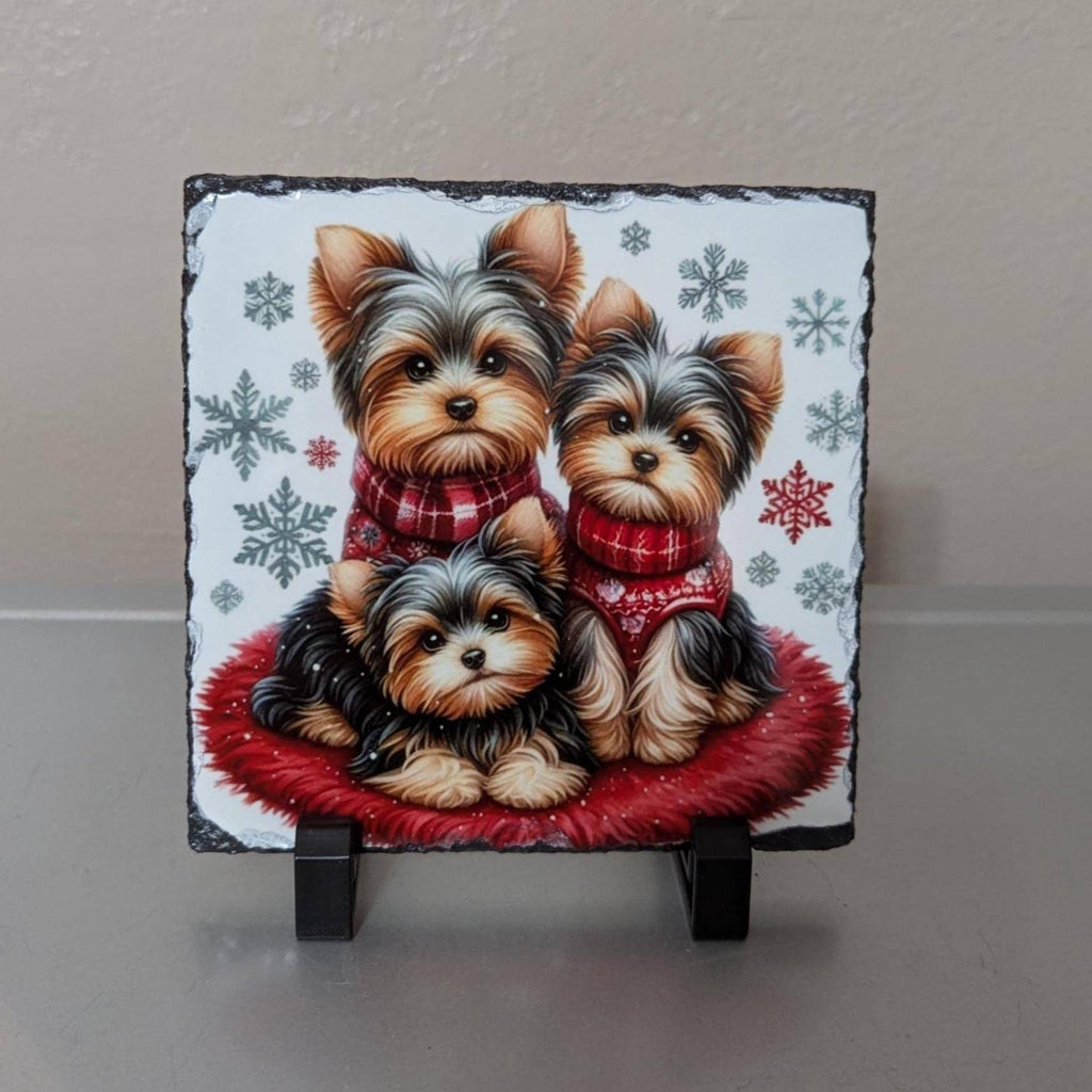 Slate Schnauzer Dog Picture with Display Legs