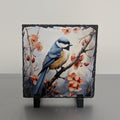 Slate Bluebird Picture With Display Legs