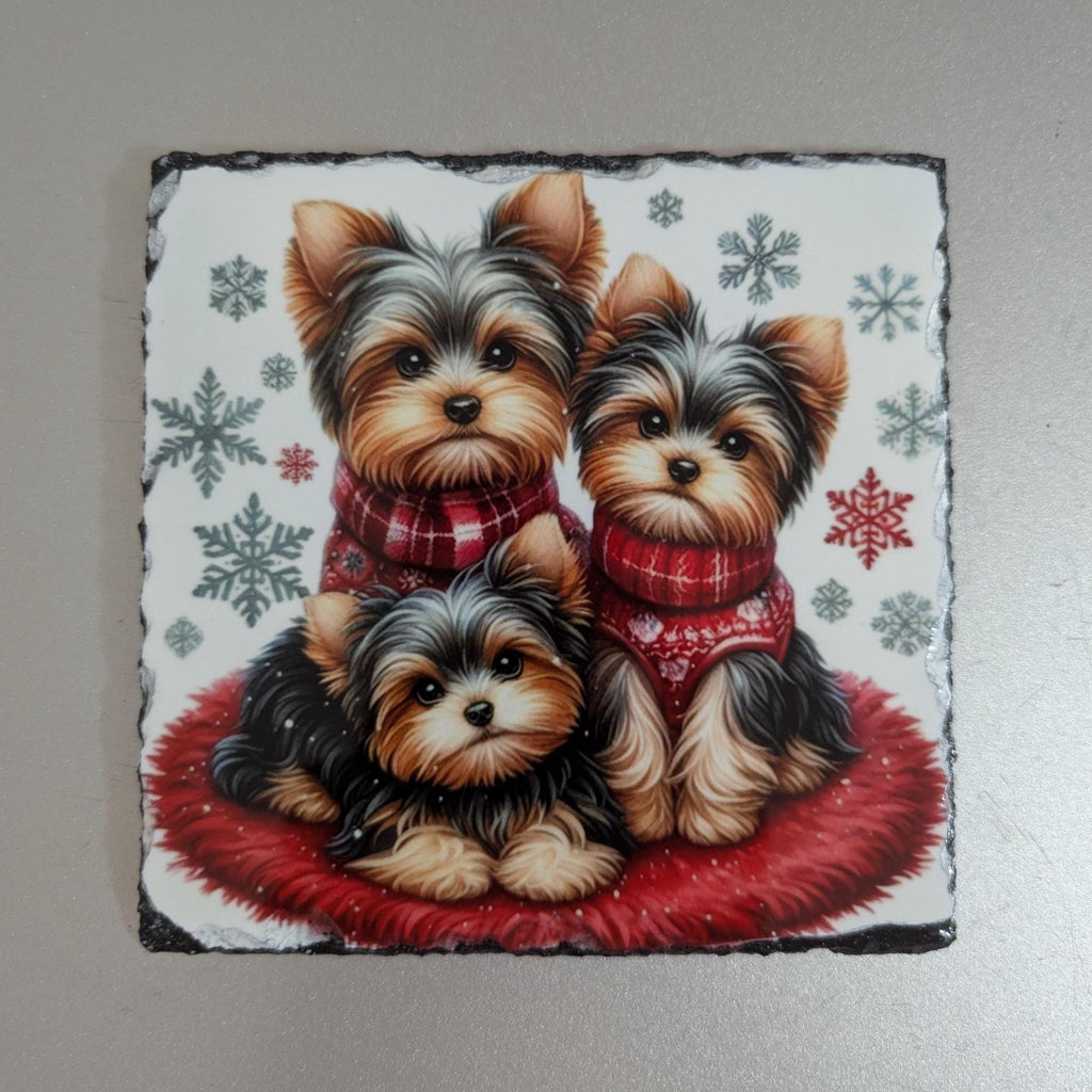Slate Schnauzer Dog Picture with Display Legs
