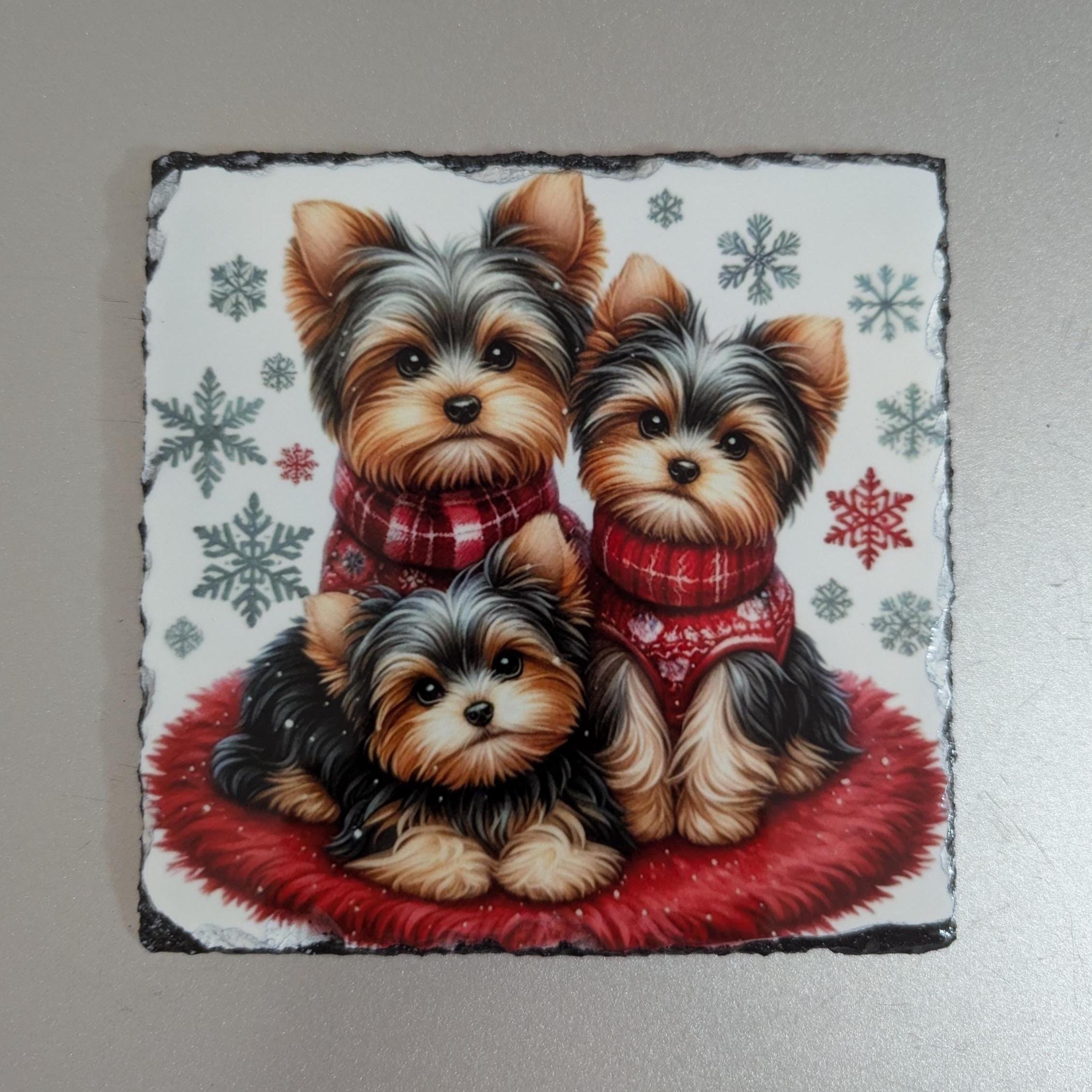 Slate Schnauzer Dog Picture with Display Legs