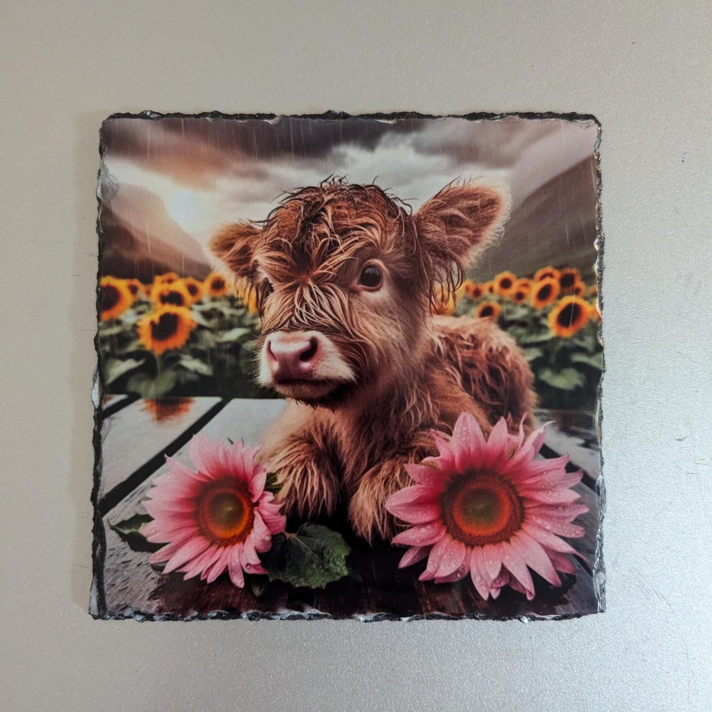 Highland Cow Calf Slate Picture With Display Legs