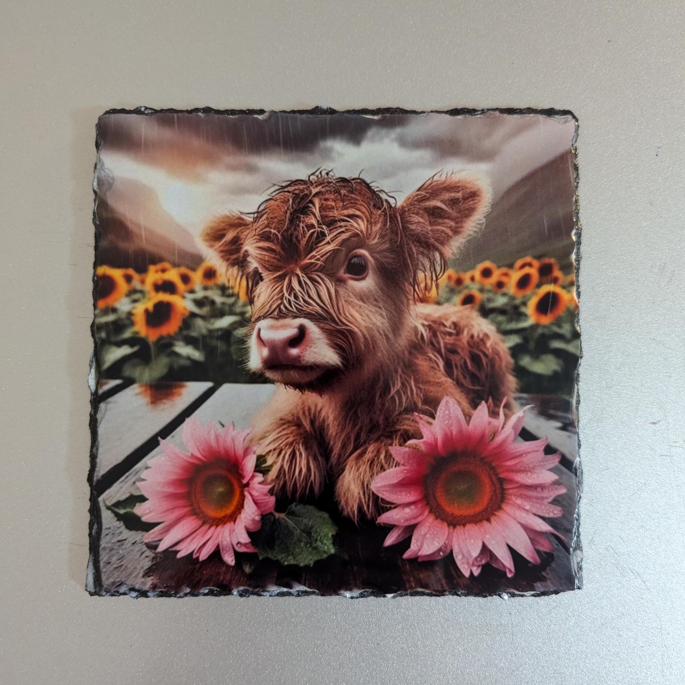 Highland Cow Calf Slate Picture With Display Legs