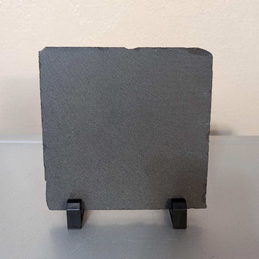 Slate Dragonfly Picture with Display Legs