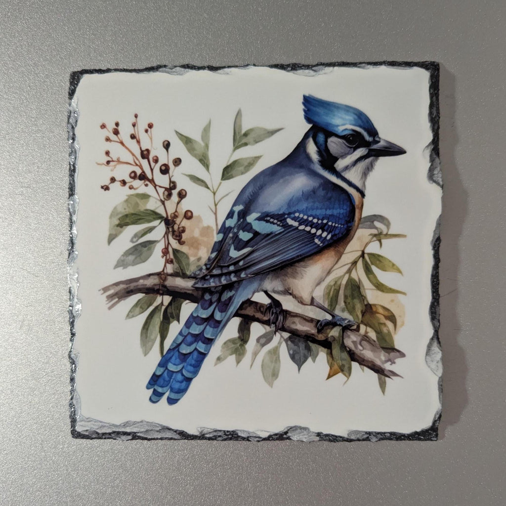 Slate Blue Jay Picture with Display Legs