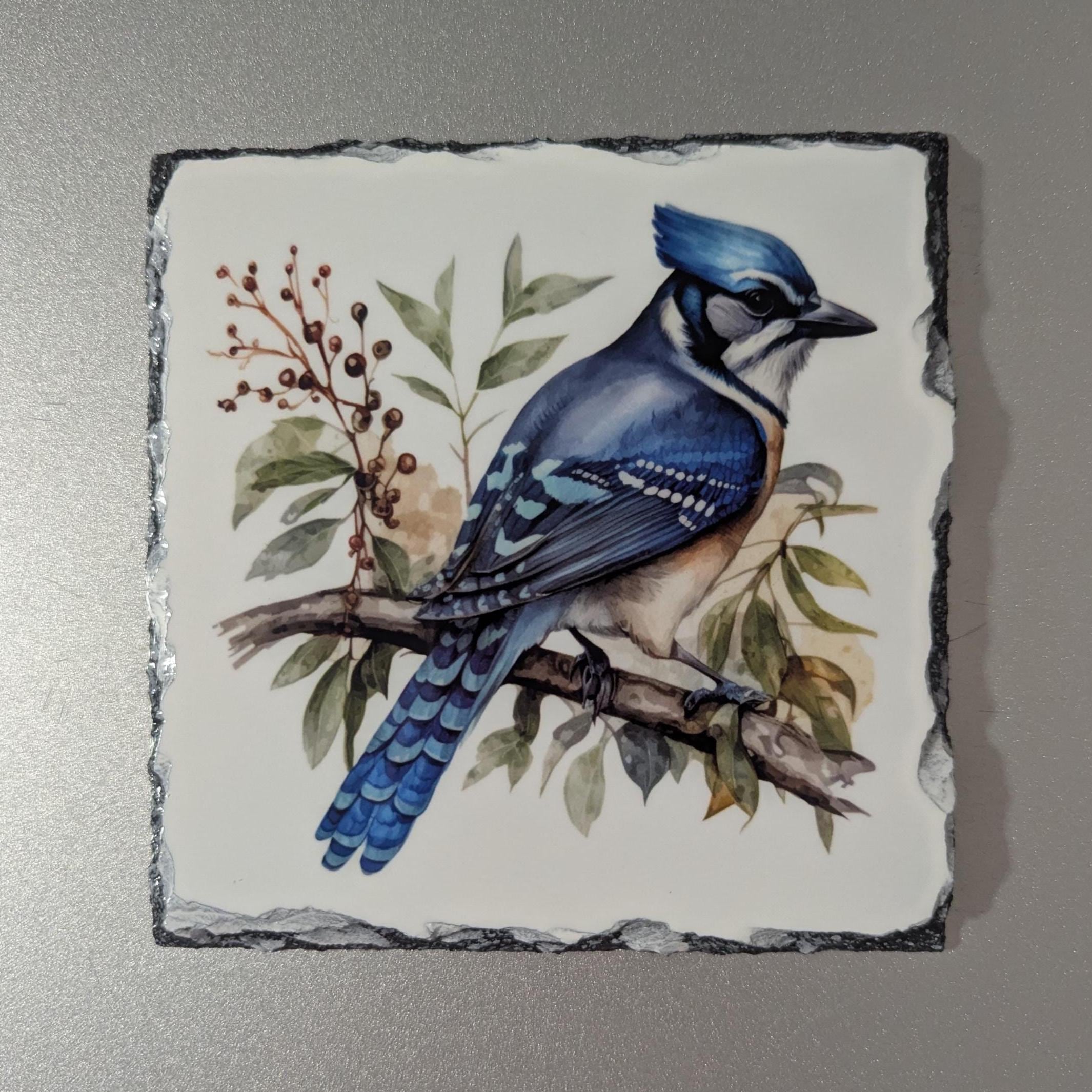 Slate Blue Jay Picture with Display Legs