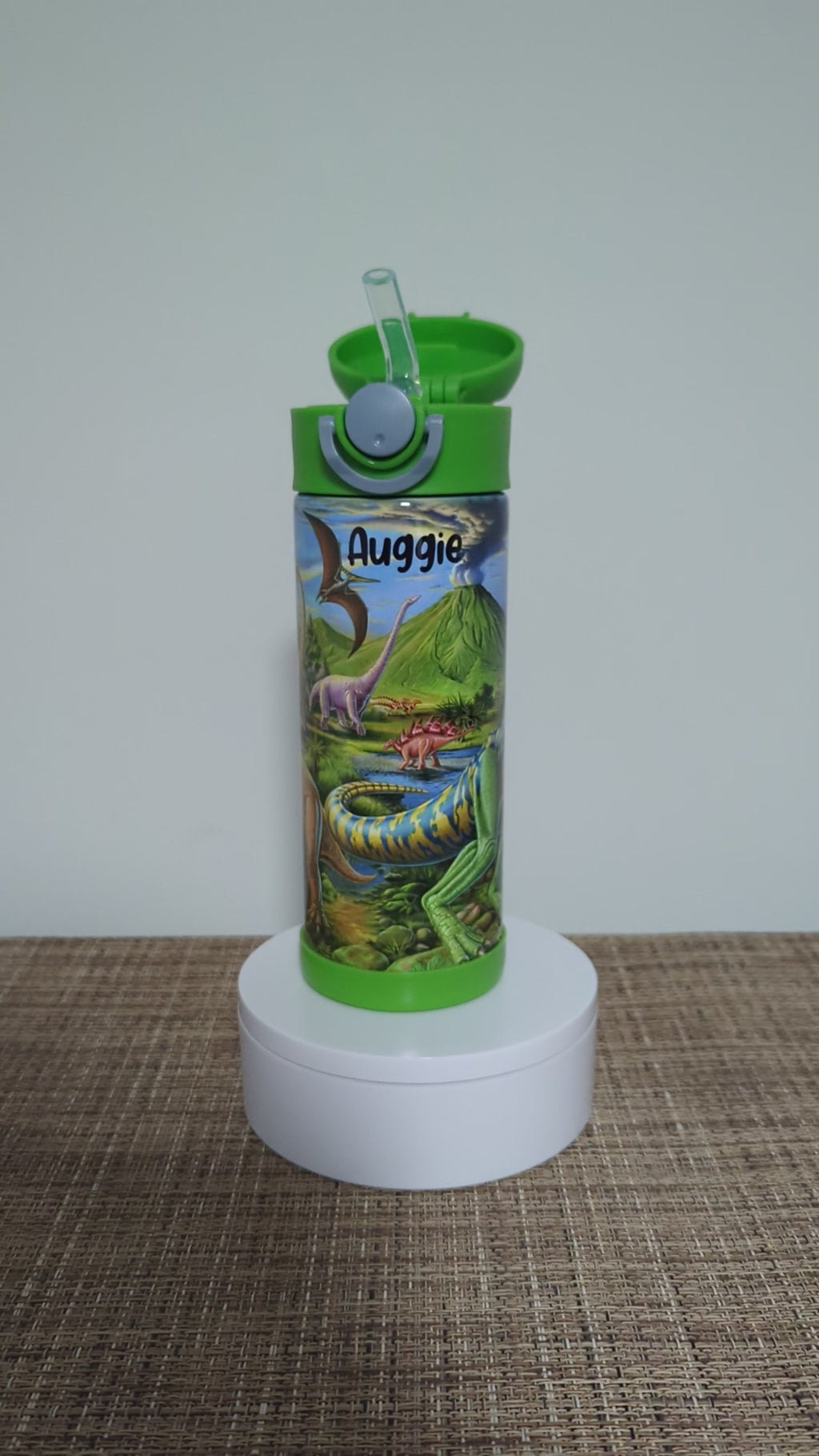 Kids Dinosaur Water Bottle 12oz With Reusable Straw Can Be Personalized